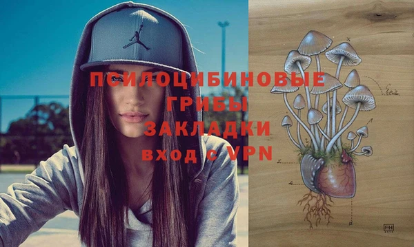 хмурый Михайловка