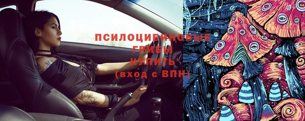 винт Медвежьегорск