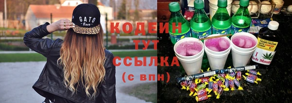 2c-b Бердск