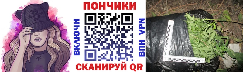Шишки марихуана гибрид  маркетплейс формула  Власиха 